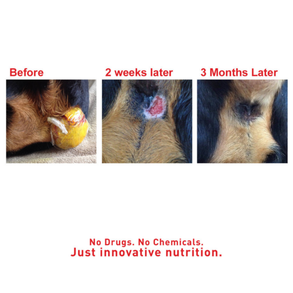 Augustine’s SuperHeal